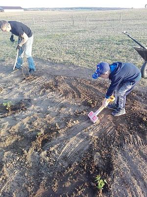 Grafika #36: Galeria przedszkolaków