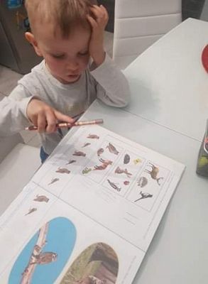  Grafika #4: Galeria przedszkolaków