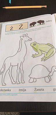  Grafika #49: Galeria przedszkolaków