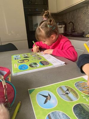 Grafika #4: Galeria przedszkolaków