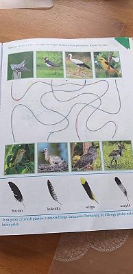  Grafika #48: Galeria przedszkolaków