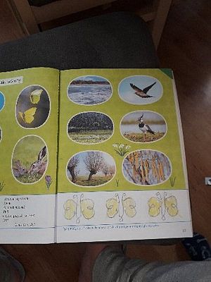  Grafika #51: Galeria przedszkolaków