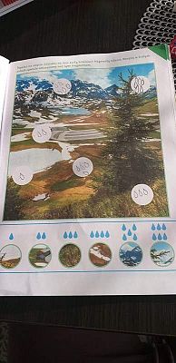  Grafika #26: Galeria przedszkolaków