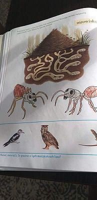  Grafika #23: Galeria przedszkolaków