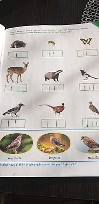  Grafika #24: Galeria przedszkolaków