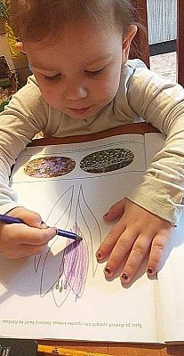  Grafika #3: Galeria przedszkolaków