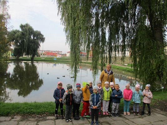  Grafika #17: Jesień w parku