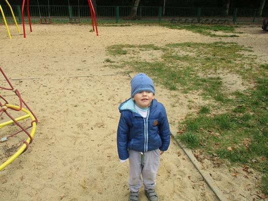  Grafika #33: Jesień w parku