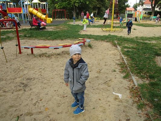  Grafika #38: Jesień w parku