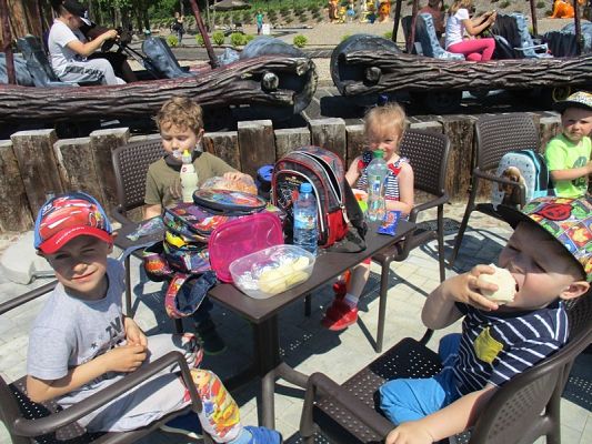 Grafika #61: Wycieczka do Parku Ewolucji w Sławutówku ( zdjęcia cz. 2 )