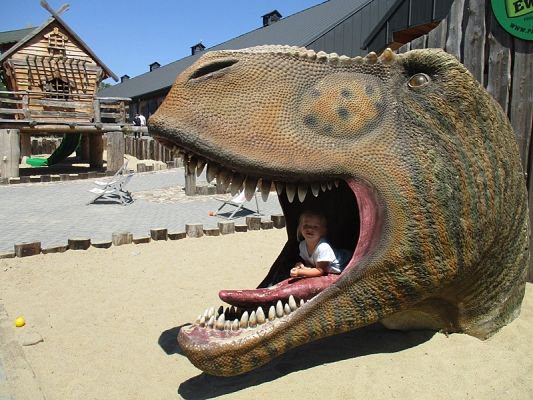 Grafika #28: Wycieczka do Parku Ewolucji w Sławutówku ( zdjęcia cz. 2 )