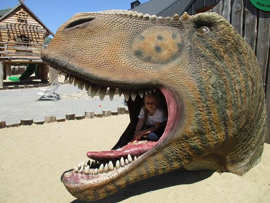 Grafika #2: Wycieczka do Parku Ewolucji w Sławutówku ( zdjęcia cz. 2 )