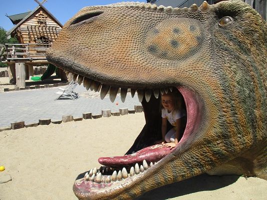 Grafika #11: Wycieczka do Parku Ewolucji w Sławutówku ( zdjęcia cz. 2 )