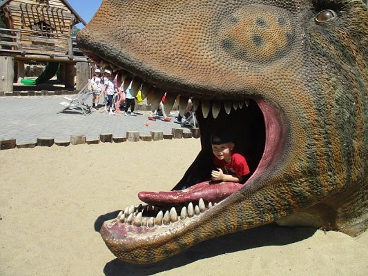 Grafika #5: Wycieczka do Parku Ewolucji w Sławutówku ( zdjęcia cz. 2 )