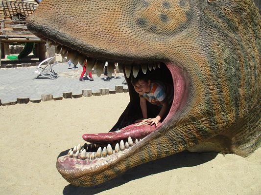 Grafika #7: Wycieczka do Parku Ewolucji w Sławutówku ( zdjęcia cz. 2 )