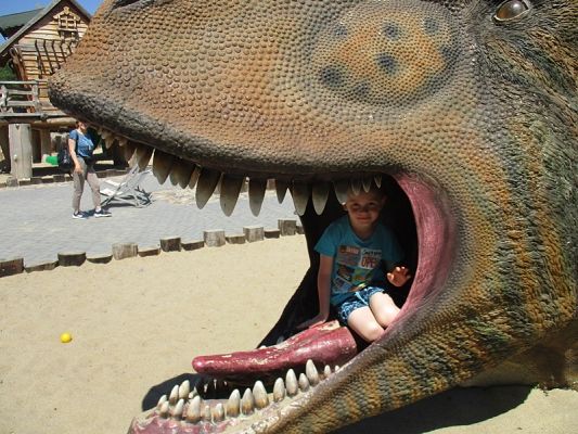 Grafika #1: Wycieczka do Parku Ewolucji w Sławutówku ( zdjęcia cz. 2 )