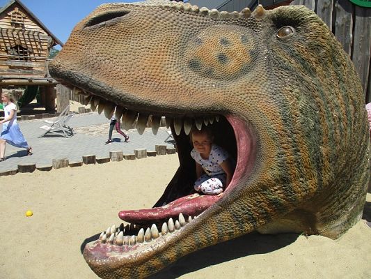 Grafika #16: Wycieczka do Parku Ewolucji w Sławutówku ( zdjęcia cz. 2 )