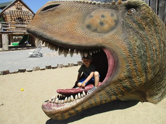 Grafika #15: Wycieczka do Parku Ewolucji w Sławutówku ( zdjęcia cz. 2 )