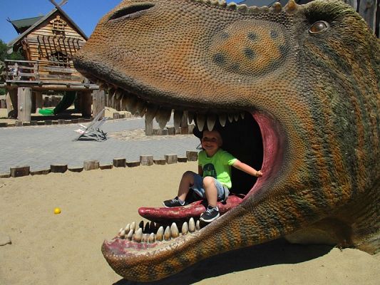 Grafika #26: Wycieczka do Parku Ewolucji w Sławutówku ( zdjęcia cz. 2 )