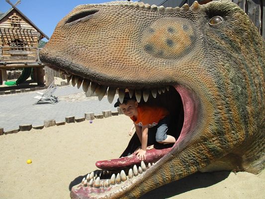 Grafika #10: Wycieczka do Parku Ewolucji w Sławutówku ( zdjęcia cz. 2 )