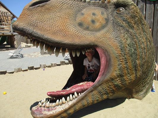 Grafika #14: Wycieczka do Parku Ewolucji w Sławutówku ( zdjęcia cz. 2 )