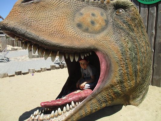 Grafika #25: Wycieczka do Parku Ewolucji w Sławutówku ( zdjęcia cz. 2 )