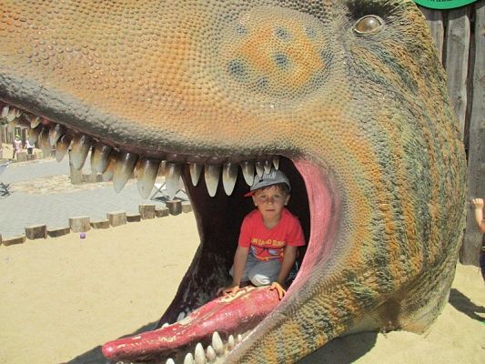 Grafika #23: Wycieczka do Parku Ewolucji w Sławutówku ( zdjęcia cz. 2 )