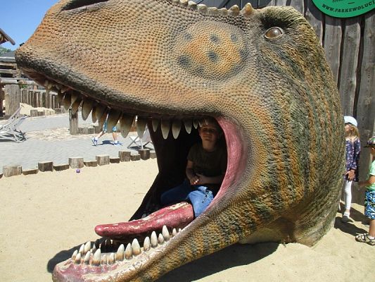 Grafika #31: Wycieczka do Parku Ewolucji w Sławutówku ( zdjęcia cz. 2 )