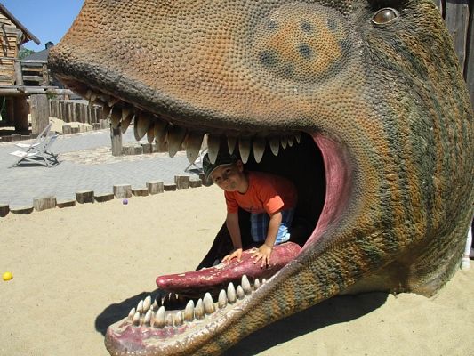 Grafika #6: Wycieczka do Parku Ewolucji w Sławutówku ( zdjęcia cz. 2 )