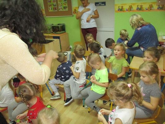  Grafika #51: Zdrowie