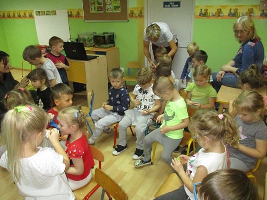  Grafika #53: Zdrowie