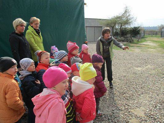  Grafika #2: Odwiedziny w Schronisku dla zwierząt w Małoszycach