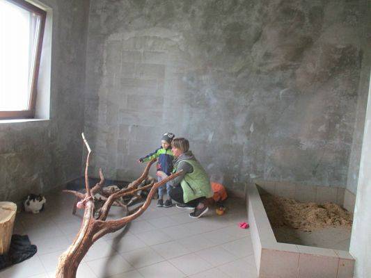  Grafika #14: Odwiedziny w Schronisku dla zwierząt w Małoszycach