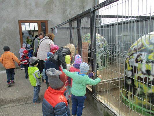  Grafika #15: Odwiedziny w Schronisku dla zwierząt w Małoszycach