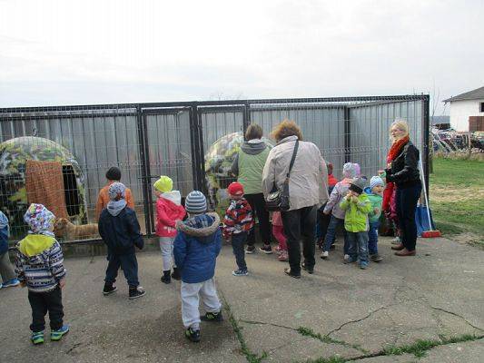  Grafika #16: Odwiedziny w Schronisku dla zwierząt w Małoszycach