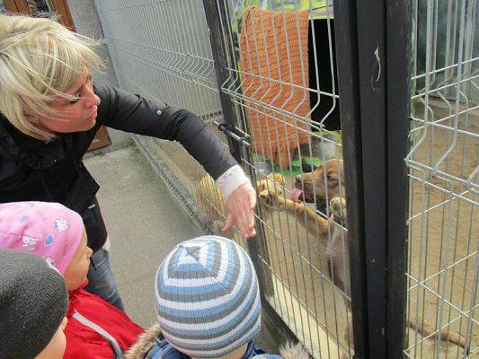  Grafika #18: Odwiedziny w Schronisku dla zwierząt w Małoszycach