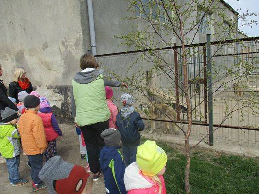  Grafika #19: Odwiedziny w Schronisku dla zwierząt w Małoszycach