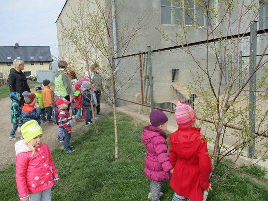  Grafika #20: Odwiedziny w Schronisku dla zwierząt w Małoszycach