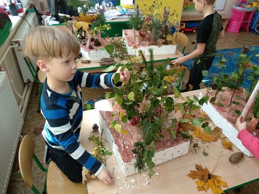  Grafika #12: JESIENNY LAS