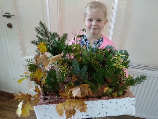  Grafika #19: JESIENNY LAS