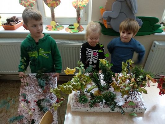  Grafika #18: JESIENNY LAS