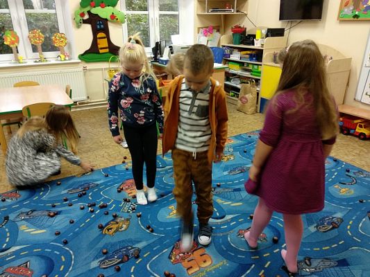  Grafika #11: ZABAWA Z KASZTANAMI