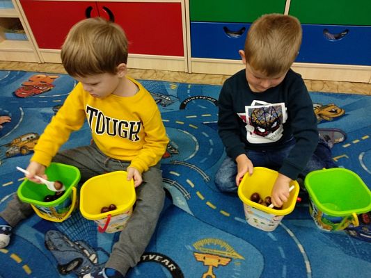  Grafika #18: ZABAWA Z KASZTANAMI