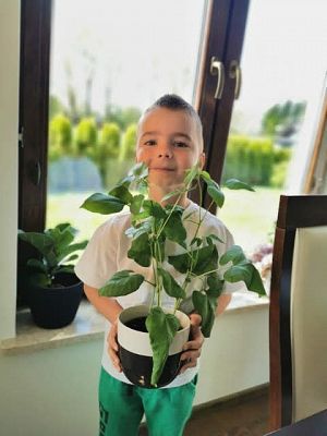 Grafika #2: GALERIA ,,PRACUSIÓW"