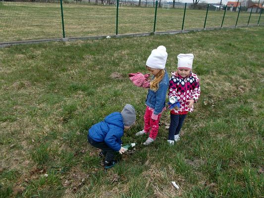  Grafika #4: Wiosenne porządki