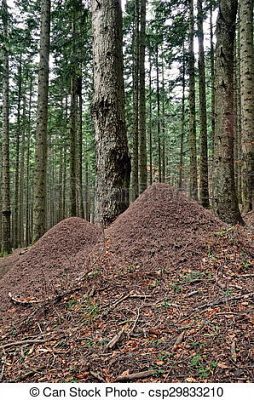  Grafika #4: NAUCZANIE ZDALNE - PIĄTEK 16.10.2020