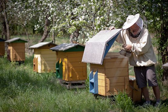  Grafika #2: NAUCZANIE ZDALNE - PIĄTEK 16.10.2020