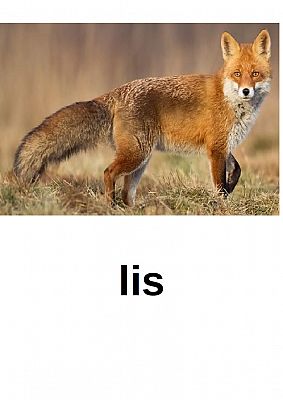  Grafika #1: NAUCZANIE ZDALNE - CZWARTEK 15.10.2020