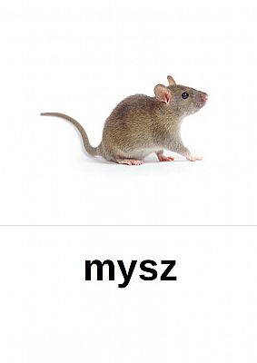  Grafika #0: NAUCZANIE ZDALNE - CZWARTEK 15.10.2020