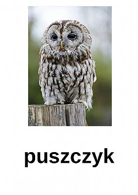  Grafika #2: NAUCZANIE ZDALNE - CZWARTEK 15.10.2020